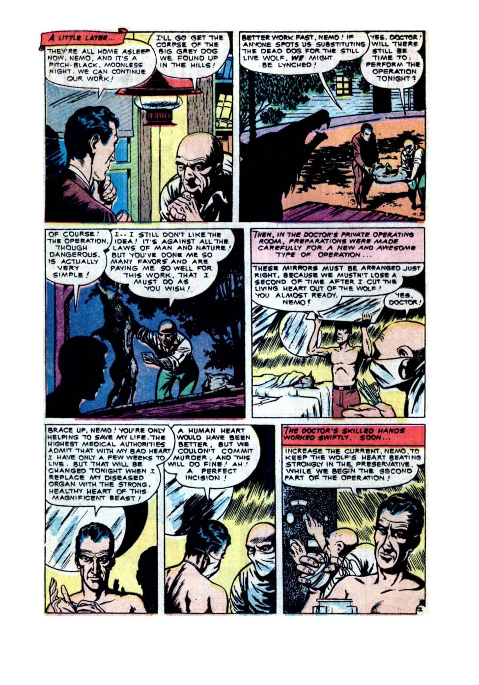 VOLT STRIKE COMICS | Nice | Ember Nocturne | “Web of Temptation”